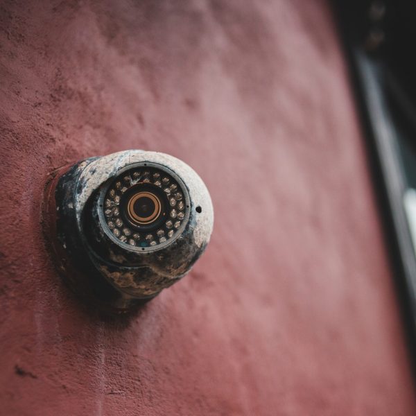 pexels-erik-mclean-4592239 pexels-erik-mclean-4592239